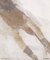 SW26　EP5　WAMPA