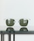 SUN POLARIZED #E ファッション用グラス