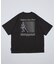 Brighton & Hove Albion FC - SEAGULLS PLAYER LINE TEE