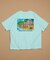 GREENROOM GALLERY × FREAK'S STORE / グリーンルームギャラリー 別注 Heather Brown 半袖Tシャツ