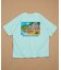 GREENROOM GALLERY × FREAK'S STORE / グリーンルームギャラリー 別注 Heather Brown 半袖Tシャツ