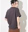 カレッジロゴ Tシャツ