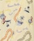 FREAK'S STORE for BEACH & FES / オーシャンパシフィック 別注 HERITAGE ALOHA SHIRT