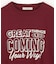 メッセージ ロゴTシャツ（Great Things）