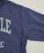 Champion × FREAK'S STORE 別注 REVERSE WEAVE VINTAGE WASH PRINT SWEAT