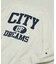 Champion × FREAK'S STORE 別注 REVERSE WEAVE VINTAGE WASH PRINT SWEAT