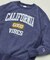 Champion × FREAK'S STORE 別注 REVERSE WEAVE VINTAGE WASH PRINT SWEAT