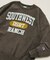 Champion × FREAK'S STORE 別注 REVERSE WEAVE VINTAGE WASH PRINT SWEAT