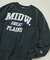 Champion × FREAK'S STORE 別注 REVERSE WEAVE VINTAGE WASH PRINT SWEAT