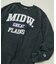 Champion × FREAK'S STORE 別注 REVERSE WEAVE VINTAGE WASH PRINT SWEAT