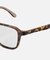 RALPH Photochromic【調光レンズ】