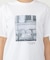 【Bab】フォトプリントアソートＴシャツ