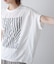 モノトーンゼブララインＴシャツ