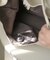 【Bab】フロントポケットトートBAG