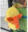 まゆげひよこぬいぐるみキーホルダー