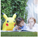 POKEMON AIR(ポケモンエアー) ピカチュウ