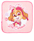 プチタオル5枚組　パウパトロール　ペアキュート　16ｘ16cm