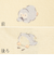 [ベビー]お着替え応援タンクトップ2枚組　ペンギン　イエロー
