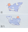 [ベビー]お着替え応援タンクトップ2枚組　シャチ　ペパーミント