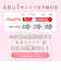 マルチフィット 広口タイプ プラスチック製 ほ乳びん 160ml リラックマ