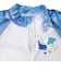 [キッズ]ラッシュガード うみのいきもの柄