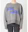 RISE ABOVEロゴニット
