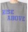 RISE ABOVEロゴニット