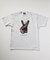 Rawlings / ローリングス 別注 XPG3 GLOBE ART Tシャツ”Desperate PITCH”