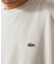 LACOSTE / ラコステ 別注 ワッフルTシャツ