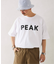 SNOW PEAK / スノーピーク 別注 ”PEAK SNOW” ロゴTシャツ