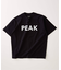 SNOW PEAK / スノーピーク 別注 ”PEAK SNOW” ロゴTシャツ