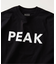 SNOW PEAK / スノーピーク 別注 ”PEAK SNOW” ロゴTシャツ