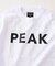 SNOW PEAK / スノーピーク 別注 ”PEAK SNOW” ロゴTシャツ