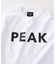SNOW PEAK / スノーピーク 別注 ”PEAK SNOW” ロゴTシャツ