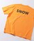 SNOW PEAK / スノーピーク 別注 ”PEAK SNOW” ロゴTシャツ