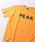 SNOW PEAK / スノーピーク 別注 ”PEAK SNOW” ロゴTシャツ