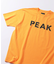 SNOW PEAK / スノーピーク 別注 ”PEAK SNOW” ロゴTシャツ