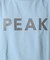 SNOW PEAK / スノーピーク 別注 ”PEAK SNOW” ロゴTシャツ