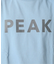 SNOW PEAK / スノーピーク 別注 ”PEAK SNOW” ロゴTシャツ