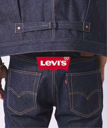 L30】LEVI