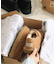 《追加》【UGG/アグ】M KENTON：ボアシューズ 3010 BLACK/CHESTNUT
