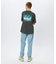 THE NORTH FACE / ザ ノースフェイス 半袖 グレートレース Ｔシャツ