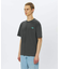 THE NORTH FACE / ザ ノースフェイス 半袖 グレートレース Ｔシャツ