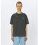 THE NORTH FACE / ザ ノースフェイス 半袖 グレートレース Ｔシャツ