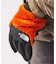 THE NORTH FACE / ザノースフェイス デナリイーチップグローブ NN62522