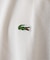 LACOSTE / ラコステ ヘビーピケ Tシャツ