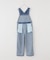 別注【PAYDAY/ペイデイ】 オーバーオール