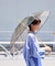《追加》【TRADITIONAL WEATHERWEAR】CLEAR UMBRELLA BAMBOO：傘