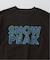 SNOW PEAK / スノーピーク 別注 マルチカラーロゴ プリントTシャツ