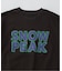 SNOW PEAK / スノーピーク 別注 マルチカラーロゴ プリントTシャツ